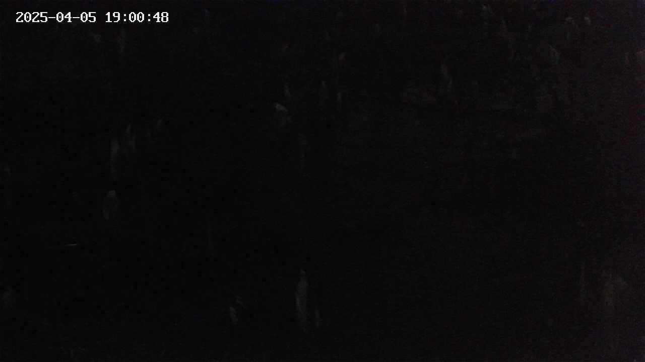 mizubasho4-20250405190048.jpg