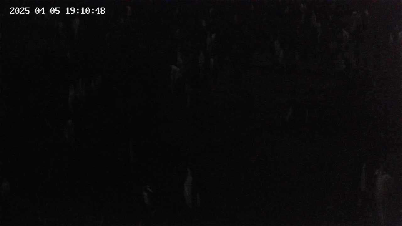 mizubasho4-20250405191048.jpg