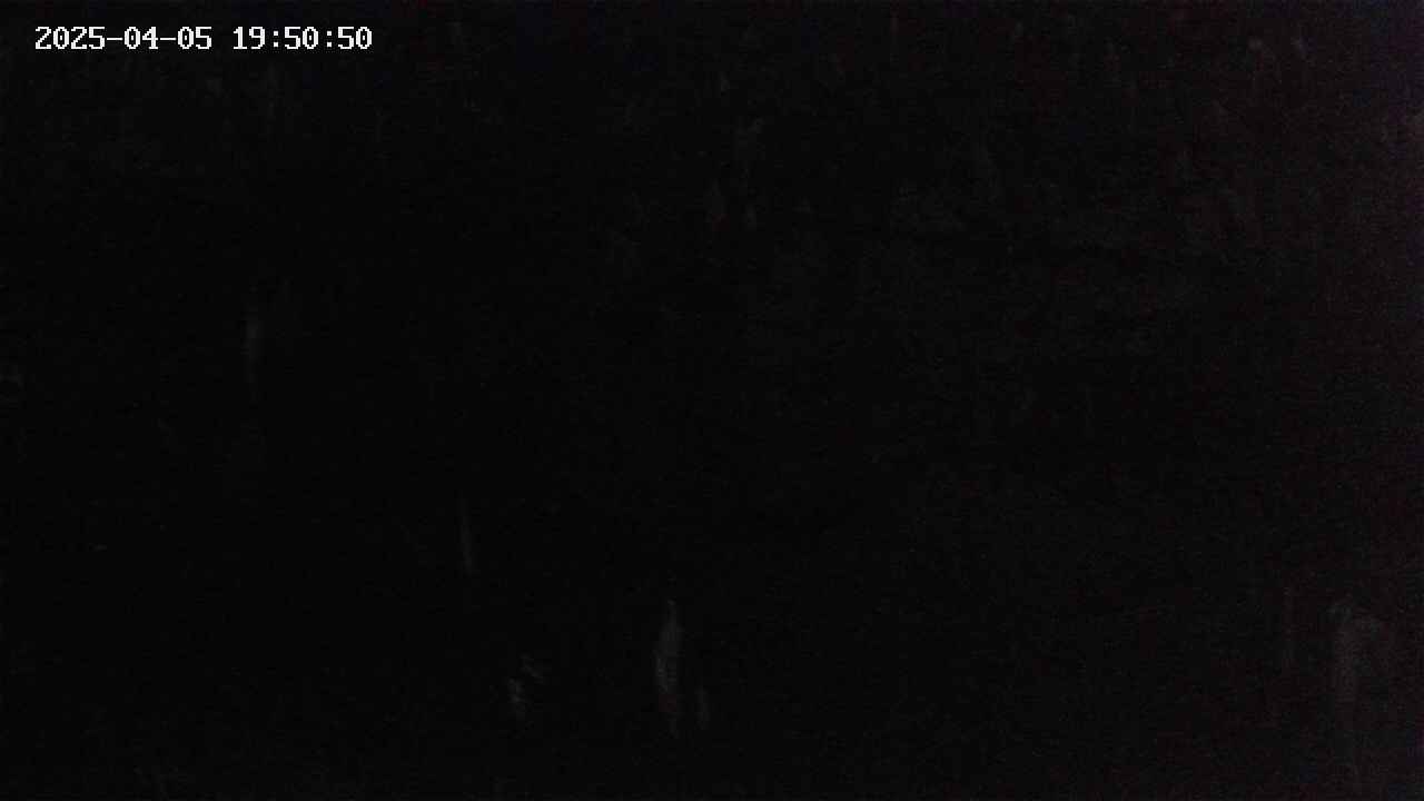 mizubasho4-20250405195051.jpg