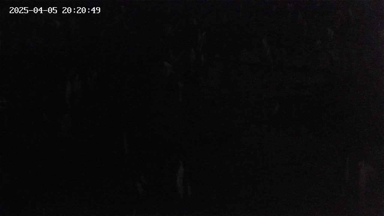 mizubasho4-20250405202050.jpg