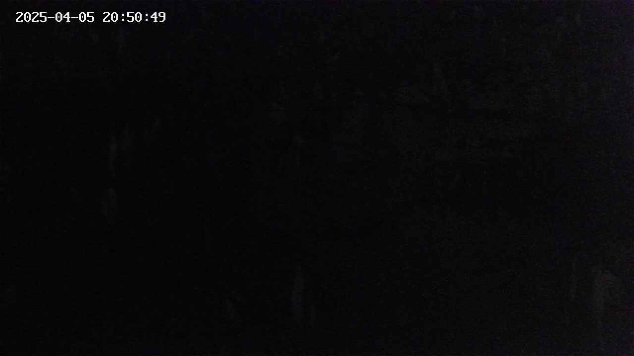 mizubasho4-20250405205050.jpg