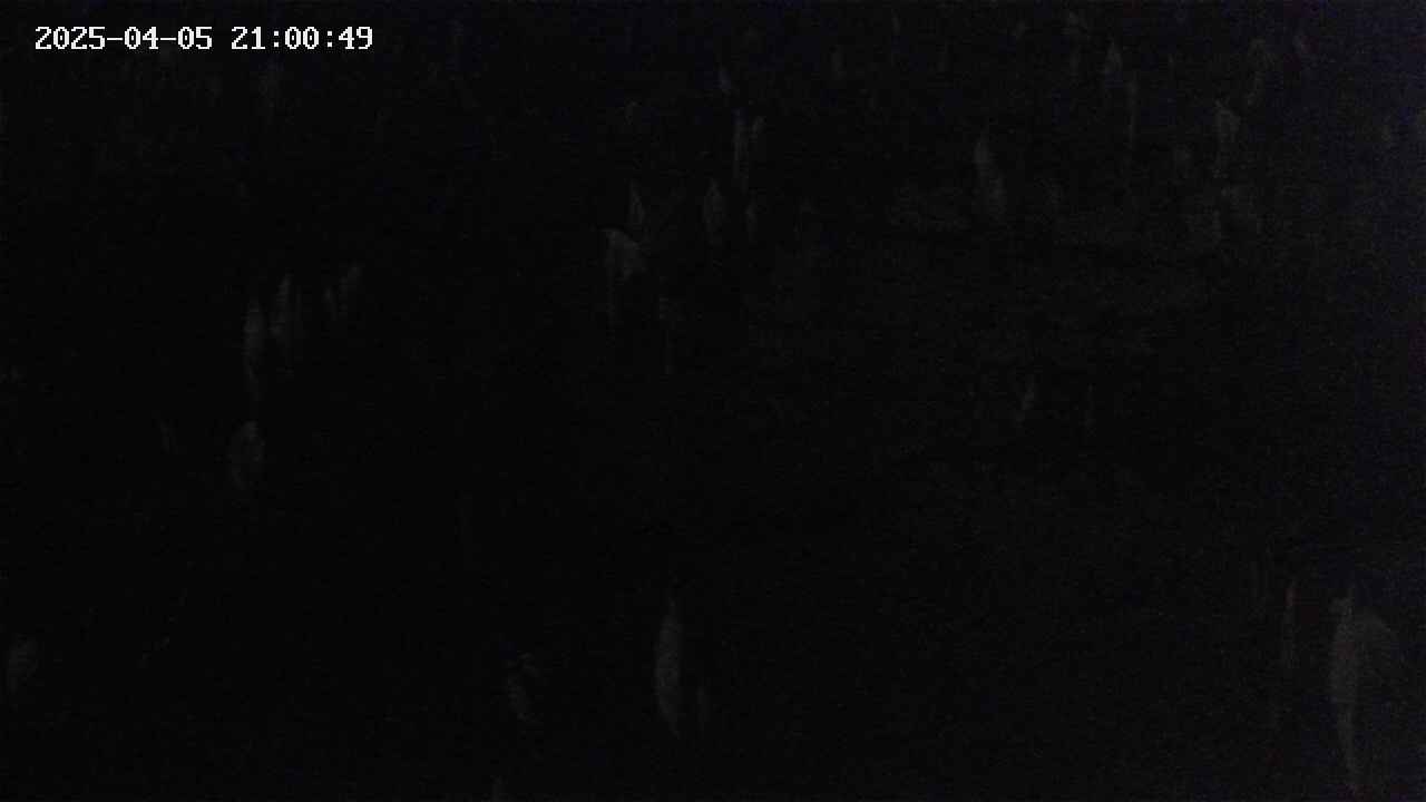 mizubasho4-20250405210050.jpg