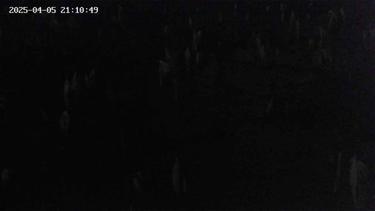 mizubasho4-20250405211050.jpg