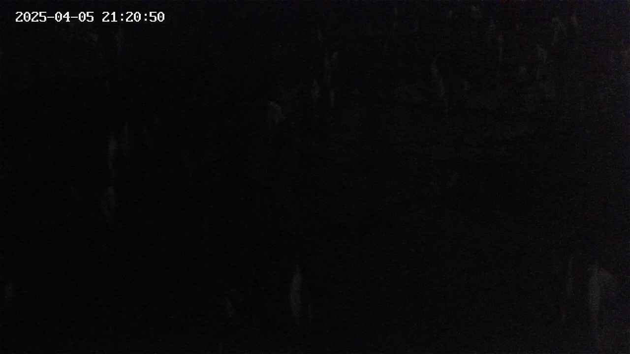 mizubasho4-20250405212050.jpg