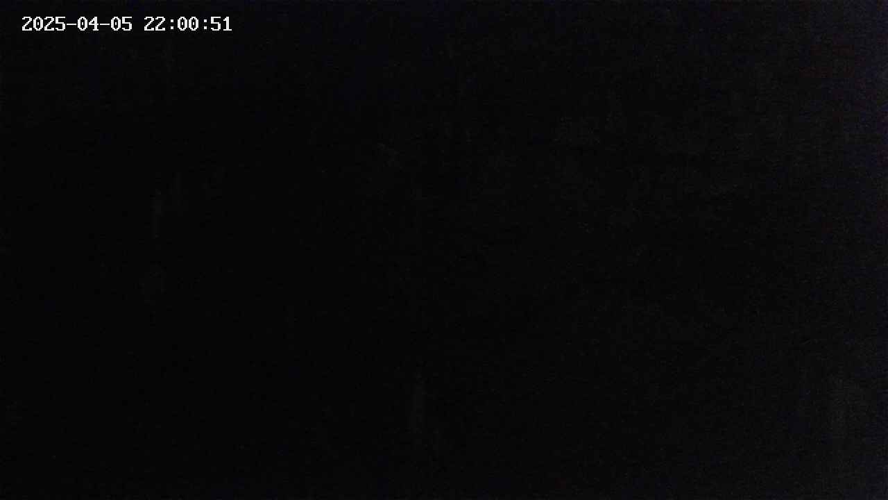 mizubasho4-20250405220052.jpg