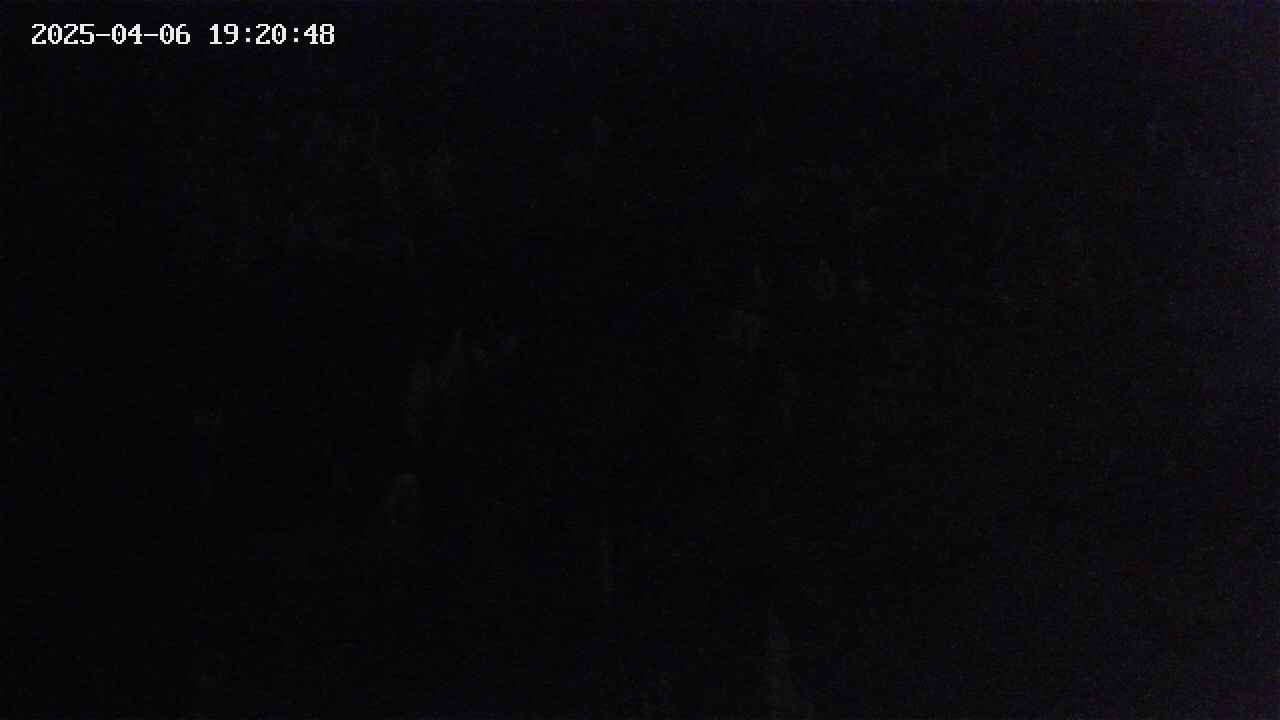 mizubasho4-20250406192049.jpg
