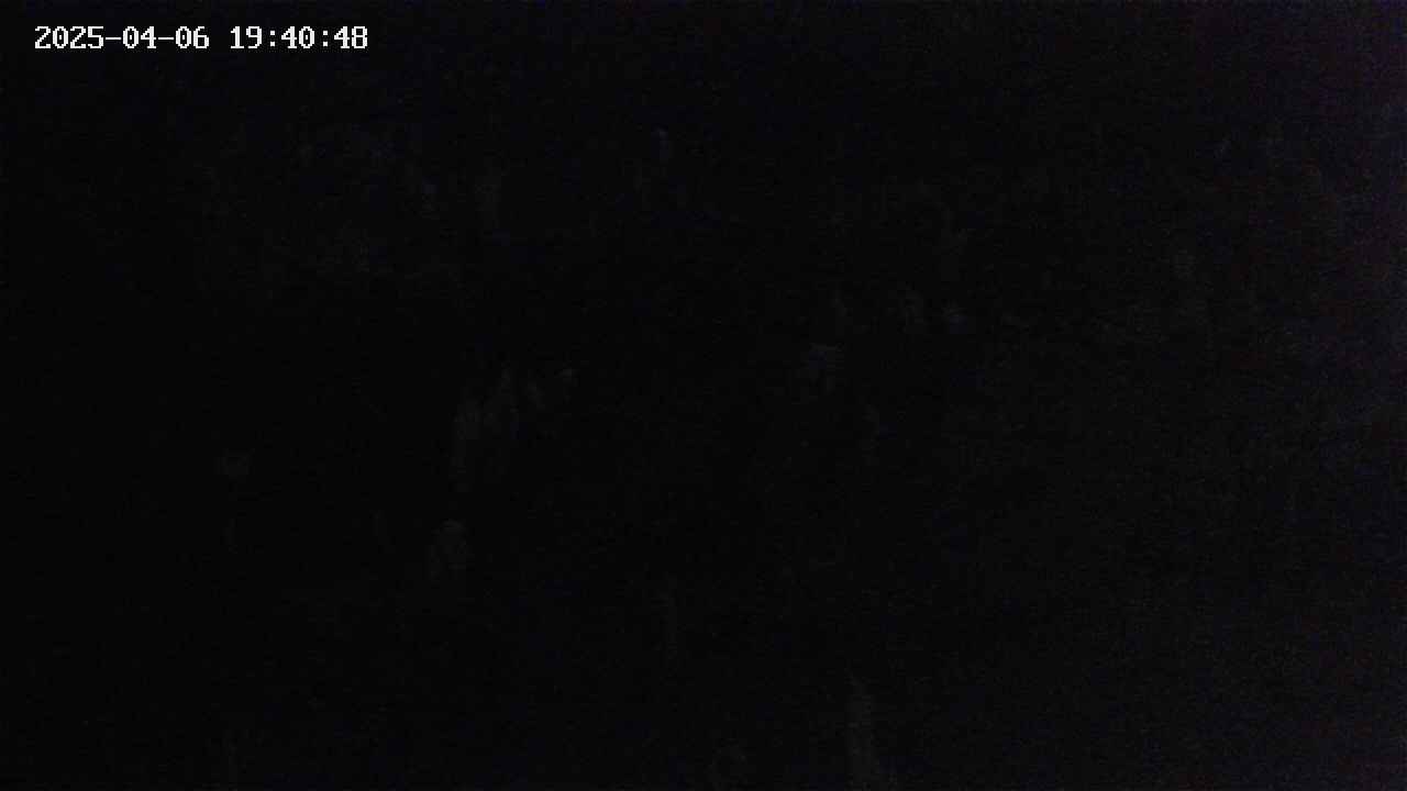 mizubasho4-20250406194049.jpg