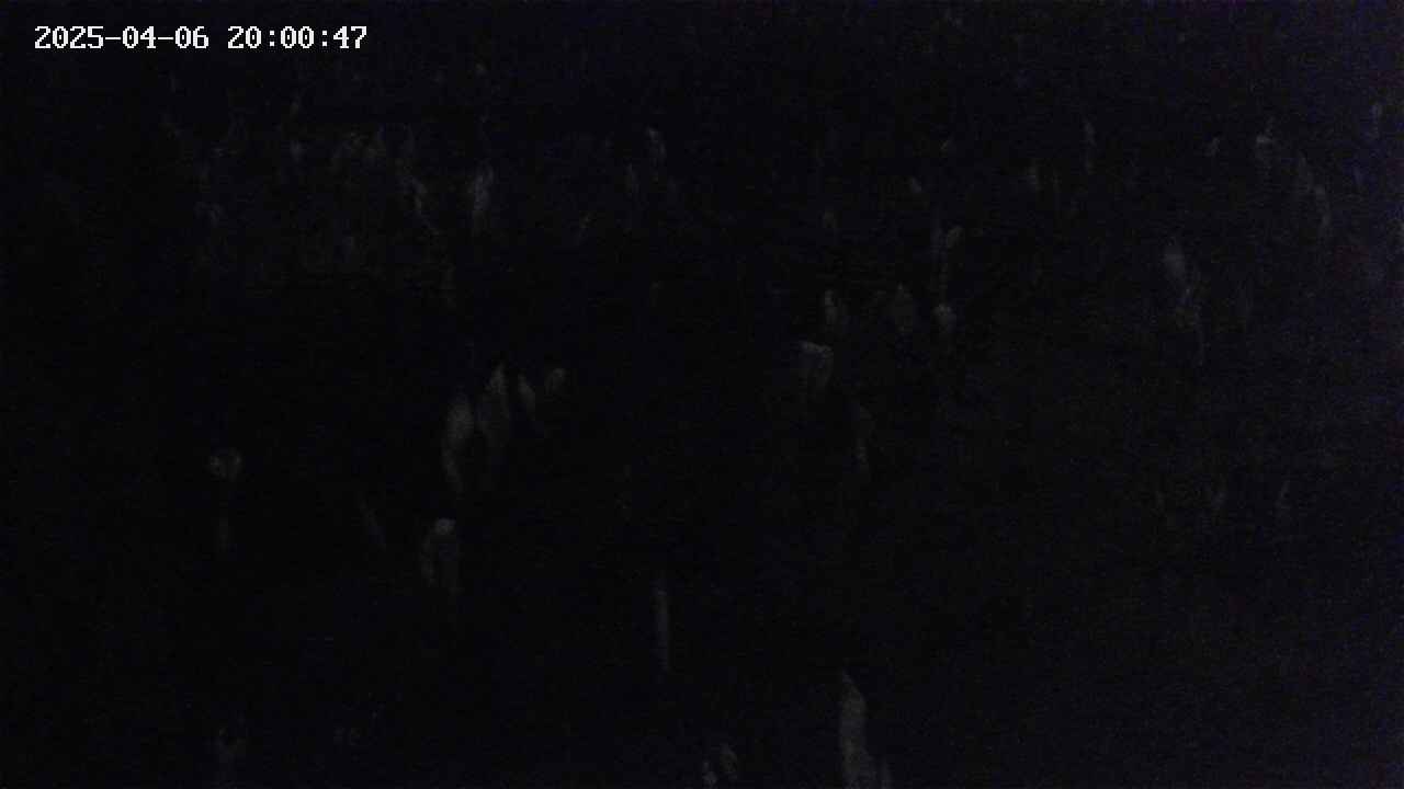 mizubasho4-20250406200047.jpg