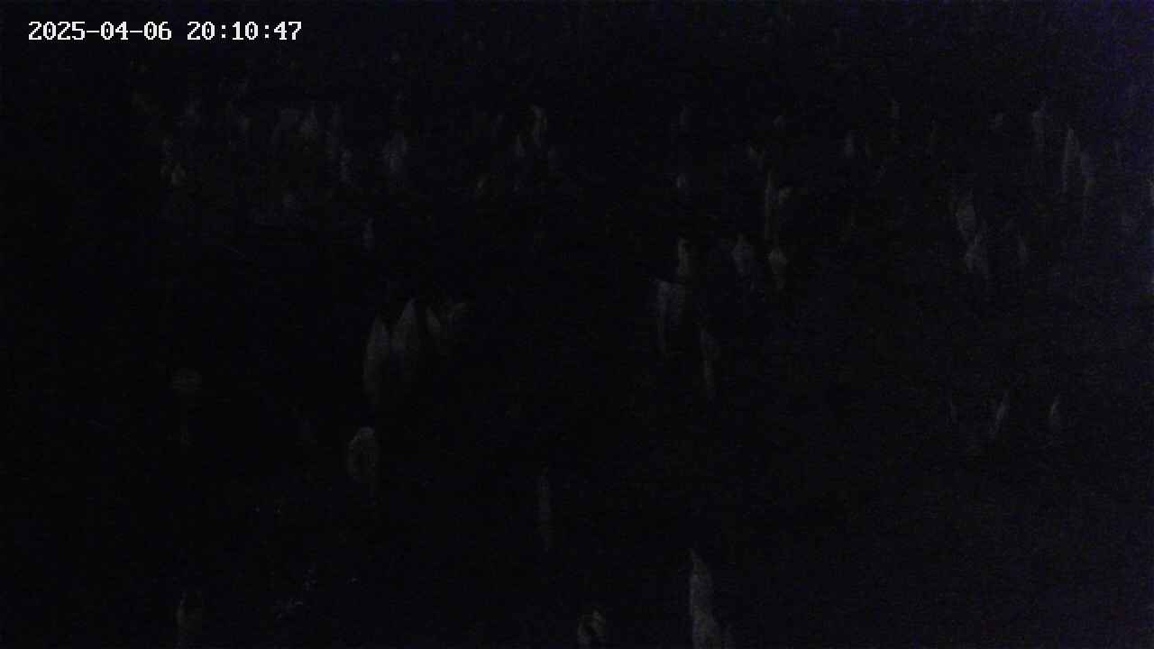 mizubasho4-20250406201048.jpg