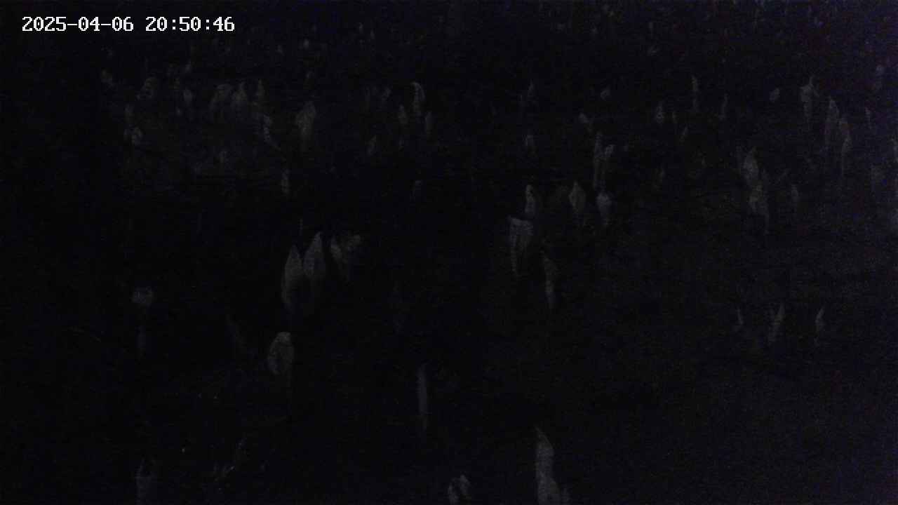 mizubasho4-20250406205047.jpg