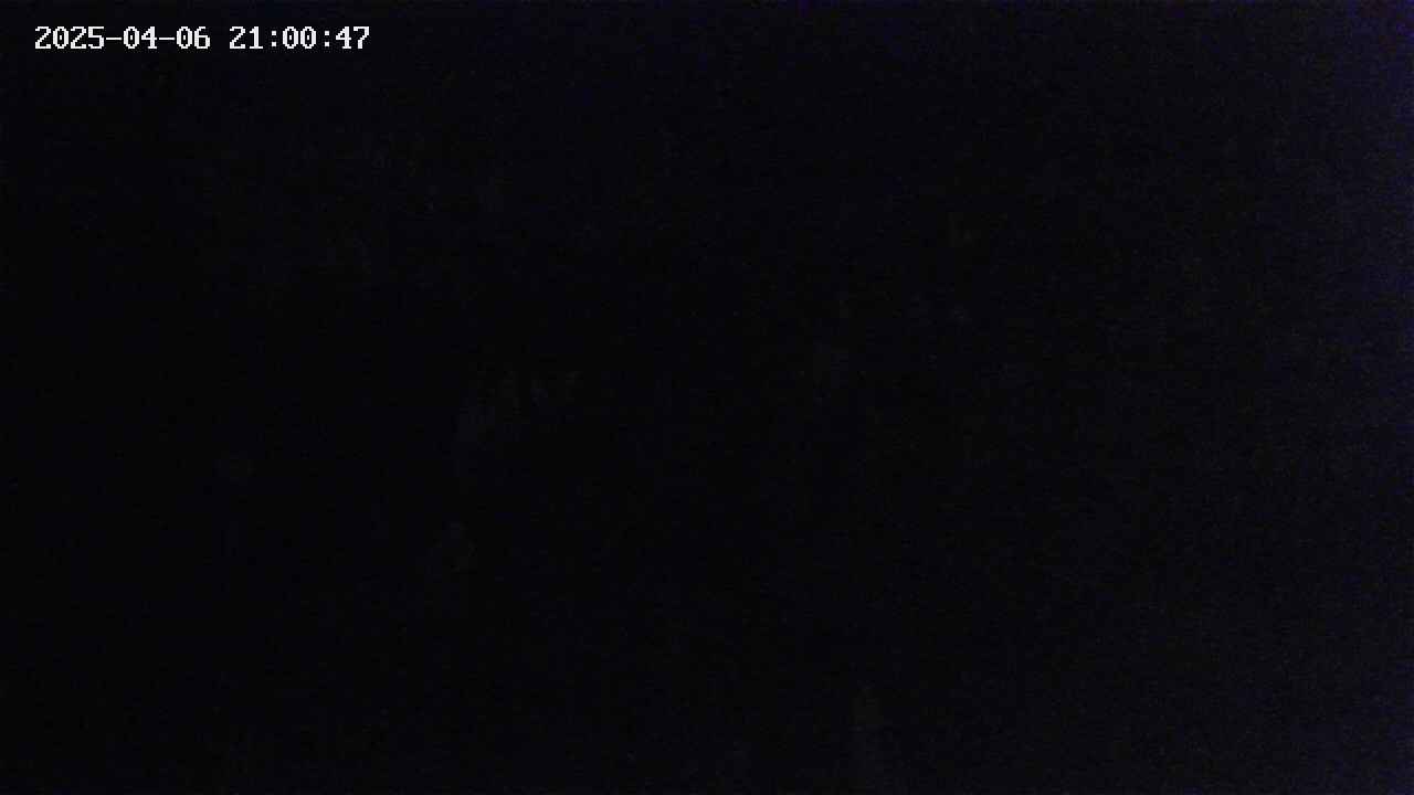 mizubasho4-20250406210048.jpg
