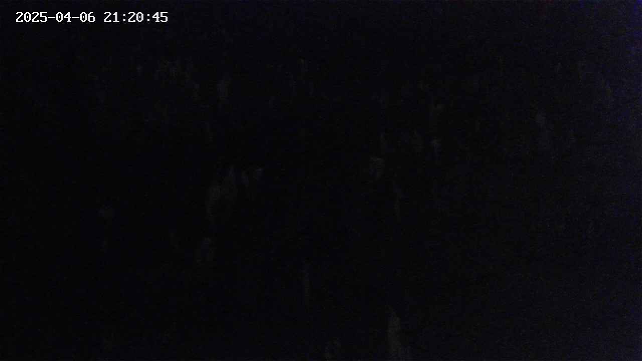 mizubasho4-20250406212046.jpg