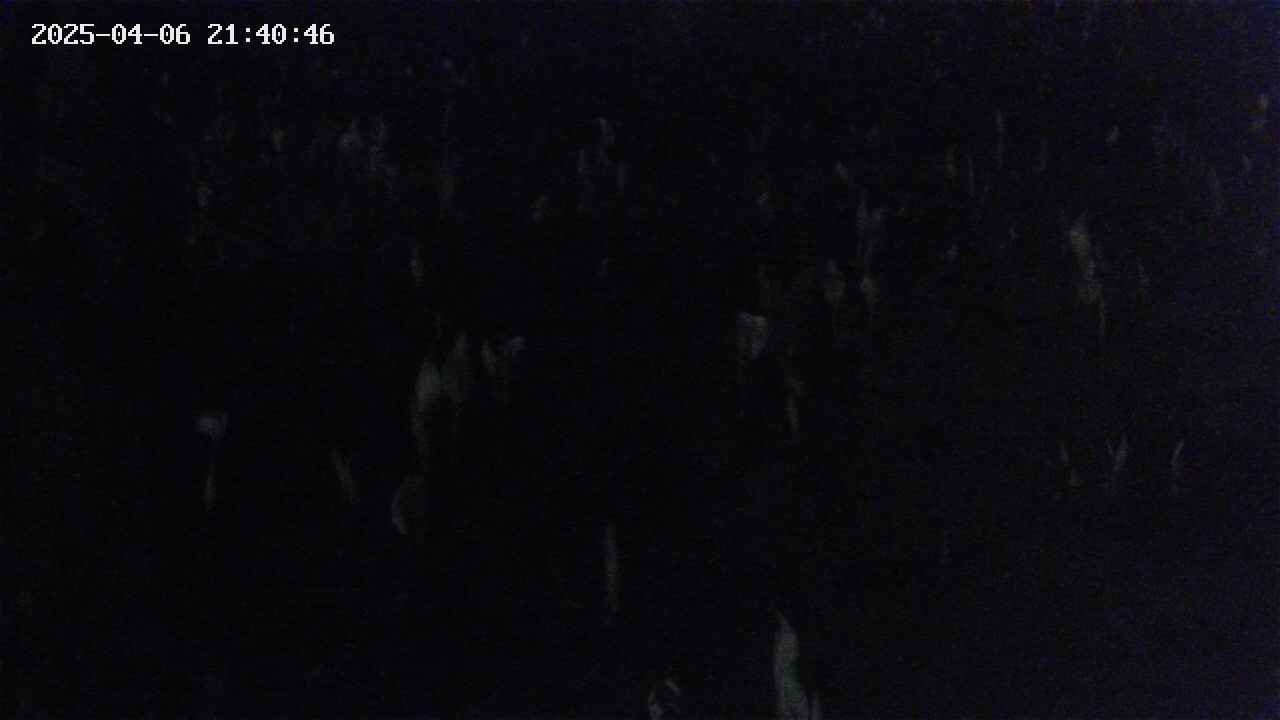 mizubasho4-20250406214047.jpg