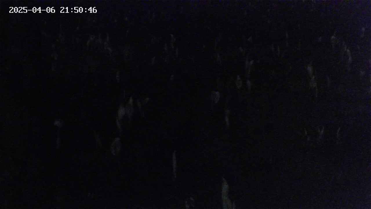mizubasho4-20250406215047.jpg