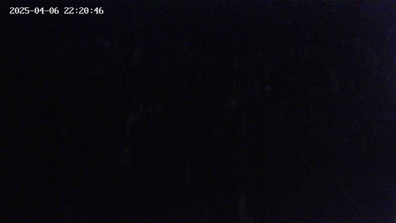 mizubasho4-20250406222047.jpg