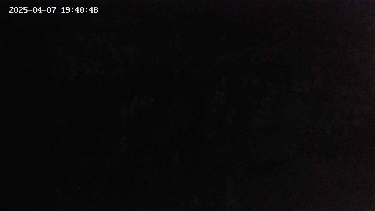 mizubasho4-20250407194049.jpg
