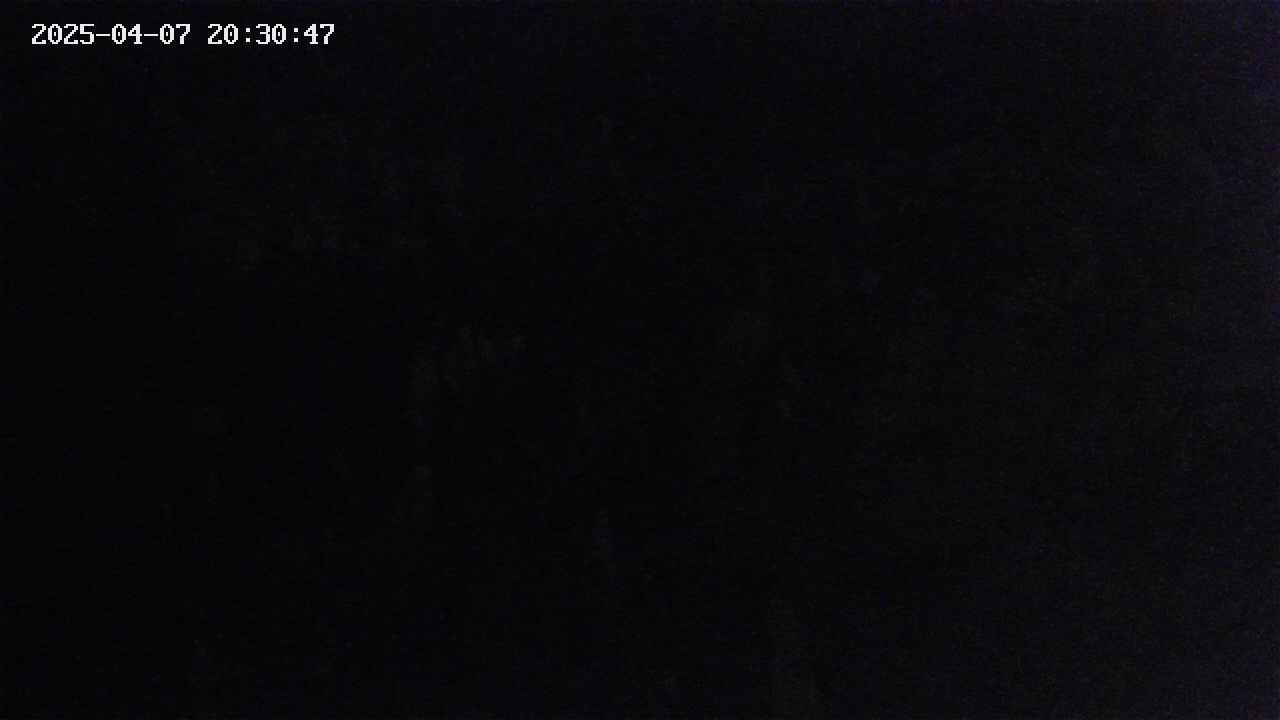 mizubasho4-20250407203048.jpg