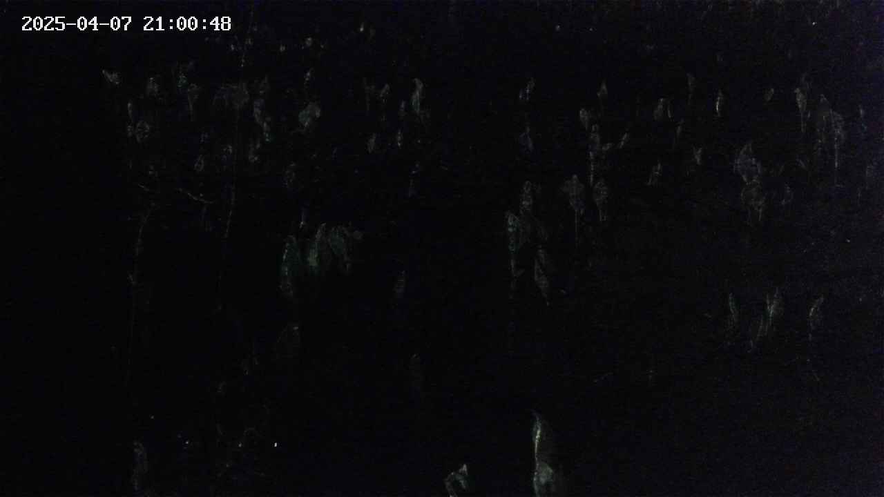 mizubasho4-20250407210049.jpg