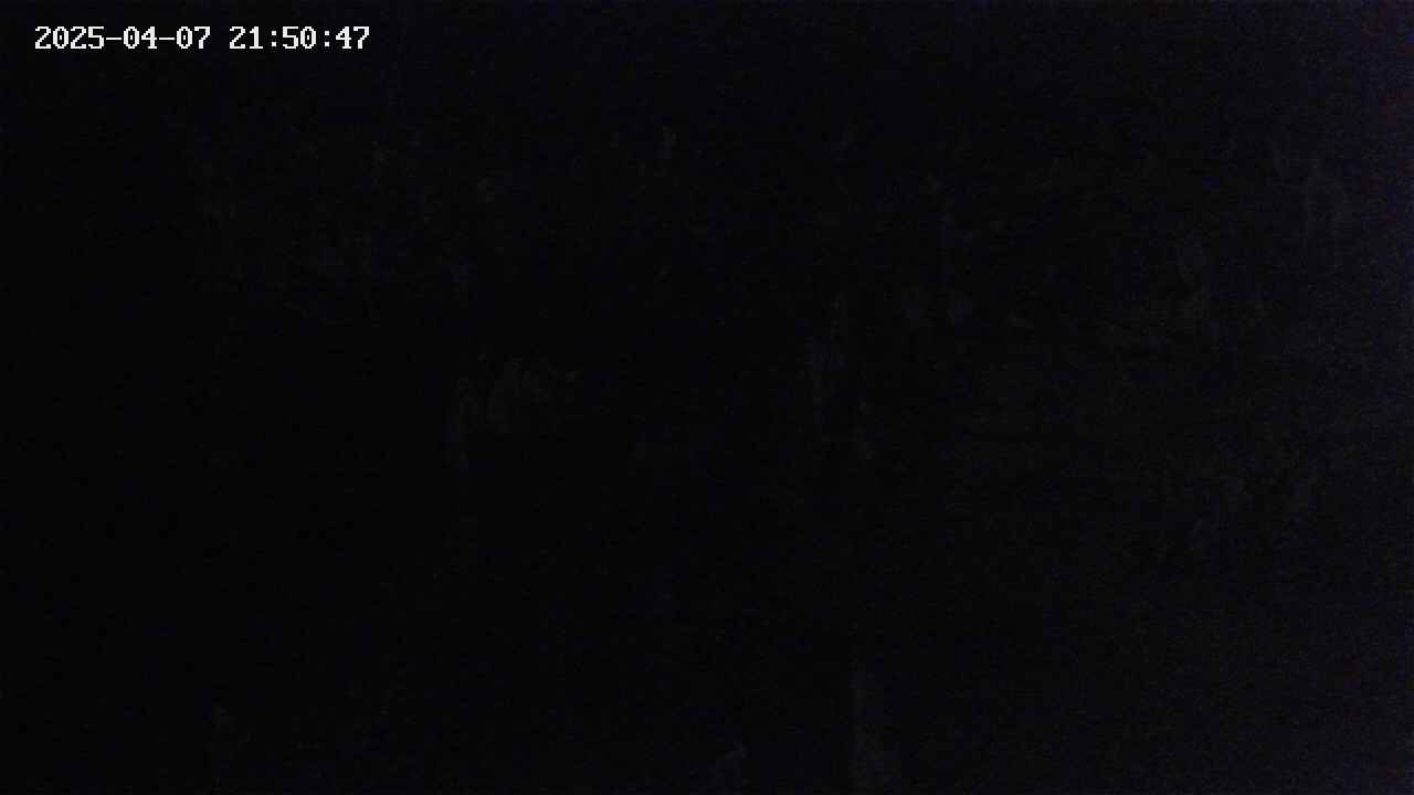 mizubasho4-20250407215047.jpg