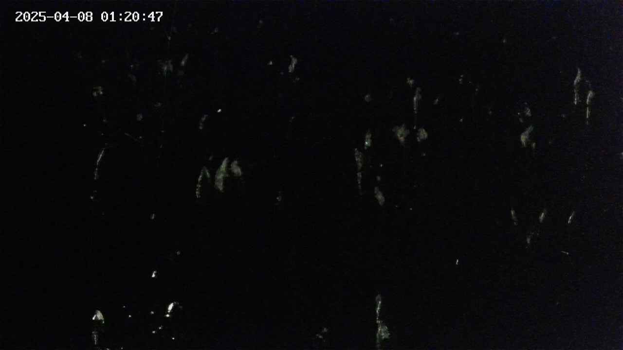 mizubasho4-20250408012048.jpg