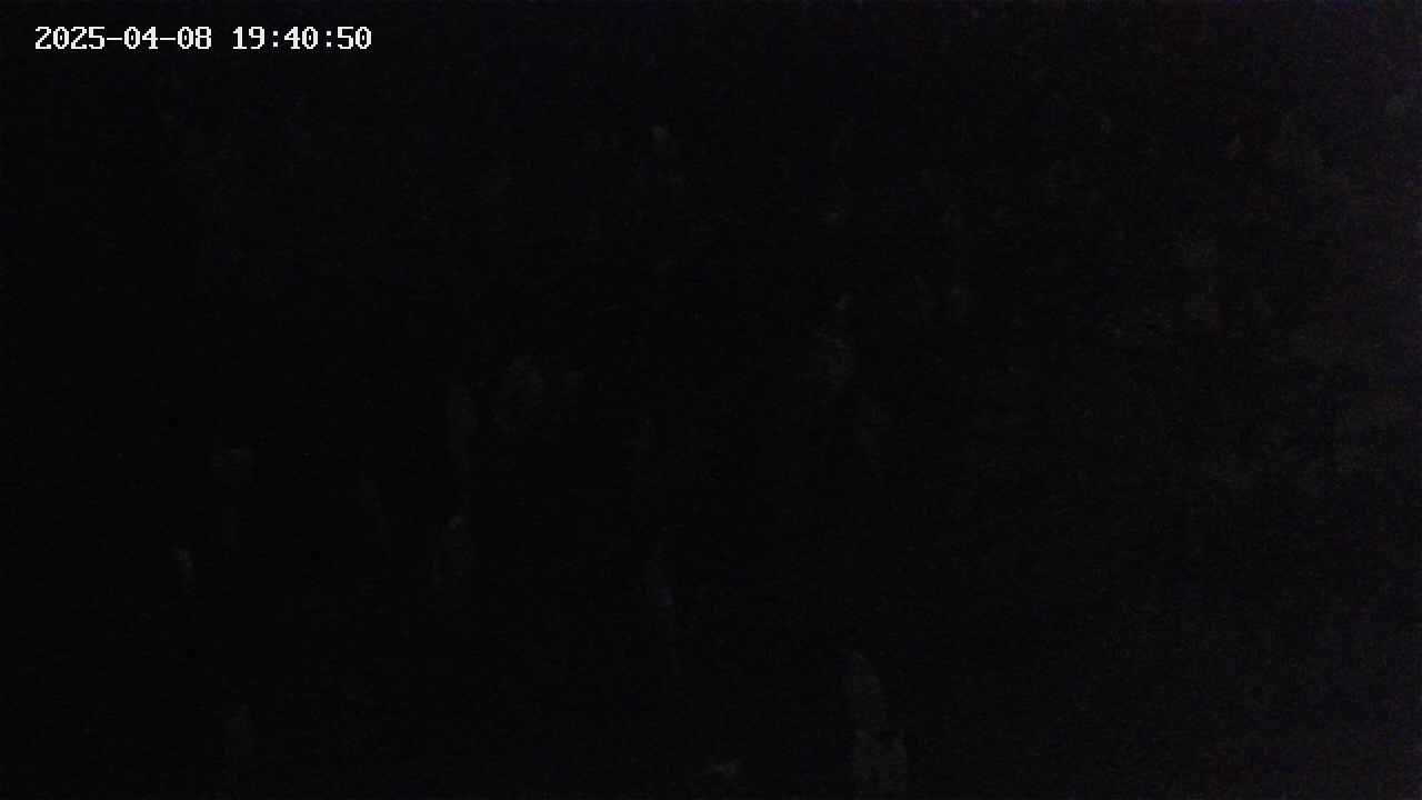 mizubasho4-20250408194051.jpg