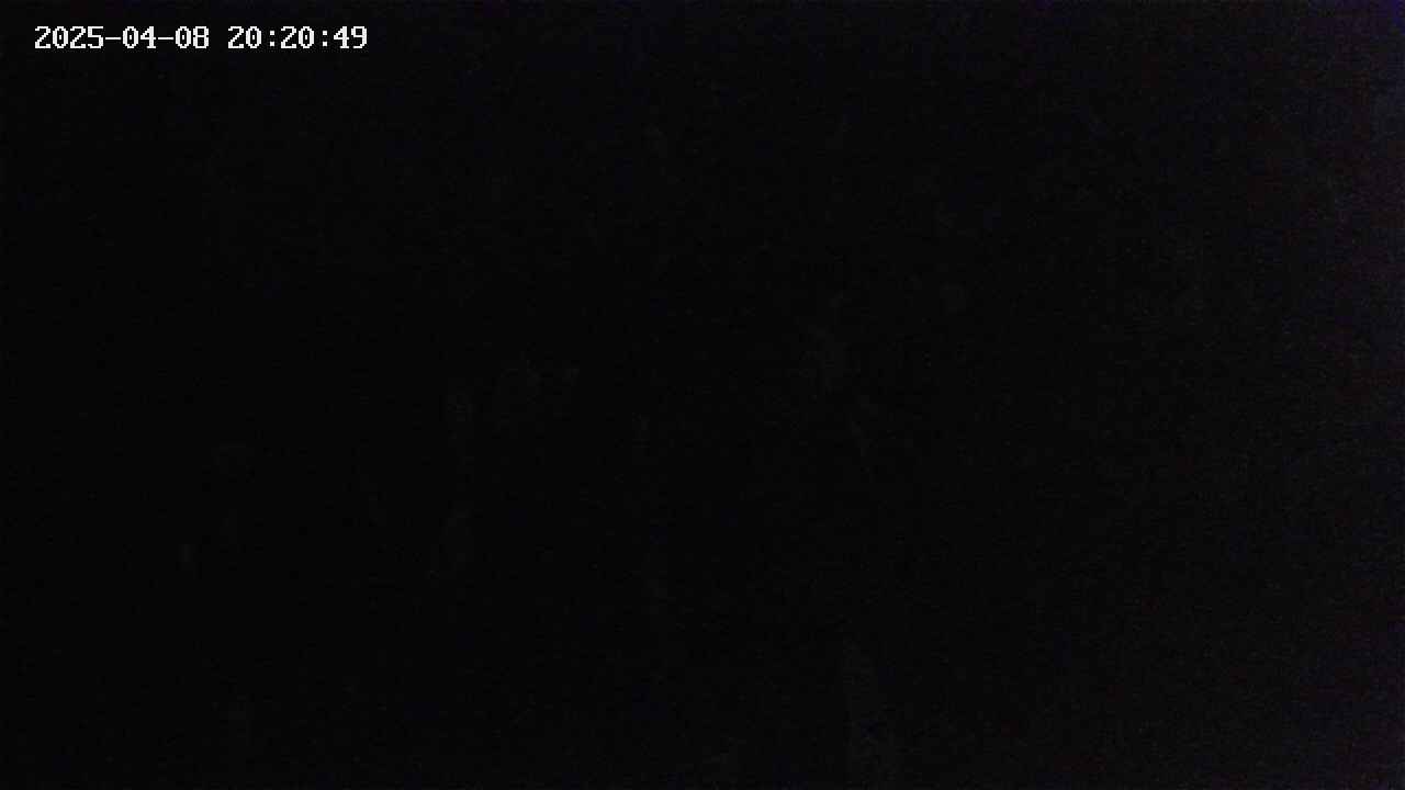 mizubasho4-20250408202050.jpg