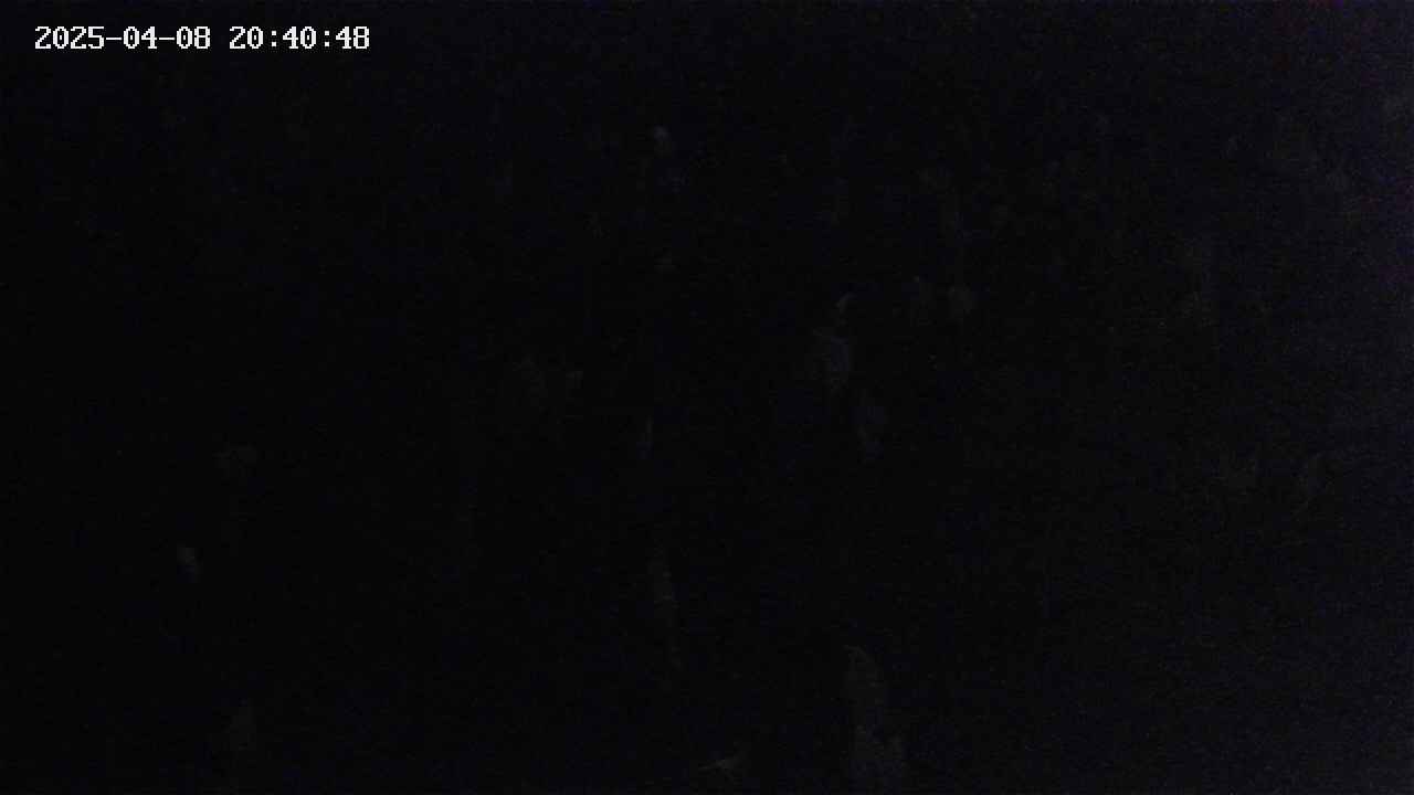 mizubasho4-20250408204049.jpg