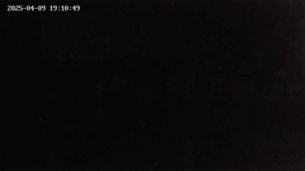 mizubasho4-20250409191050.jpg