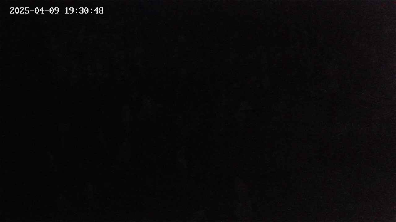 mizubasho4-20250409193049.jpg