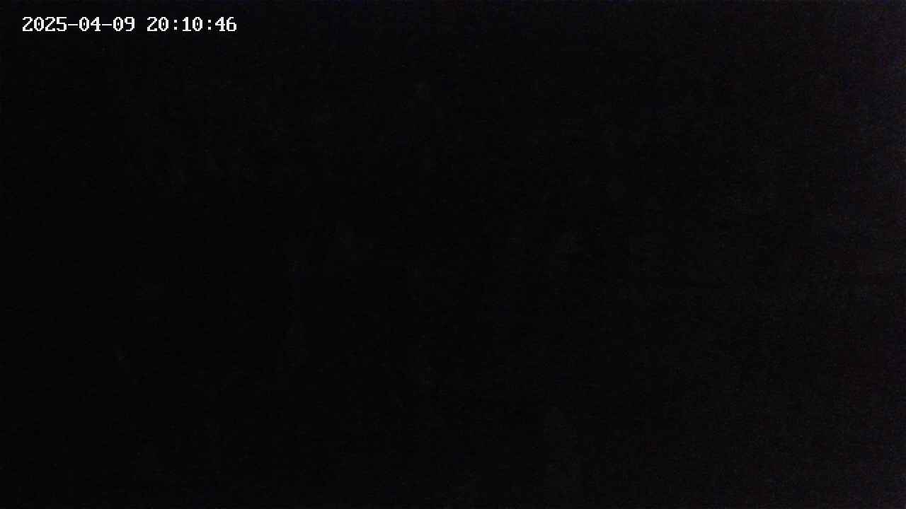 mizubasho4-20250409201047.jpg