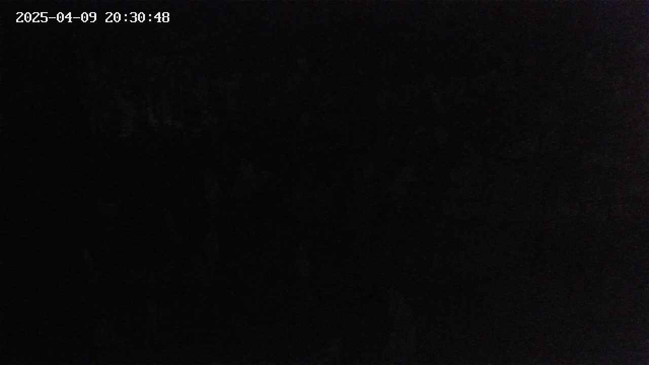 mizubasho4-20250409203048.jpg