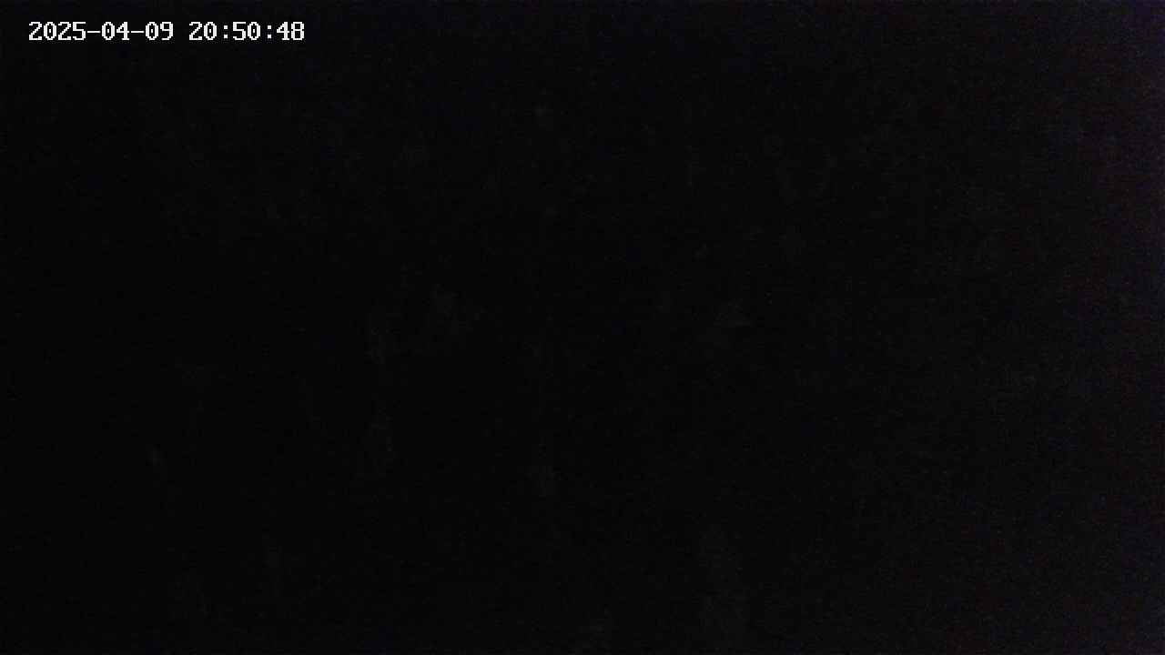 mizubasho4-20250409205049.jpg