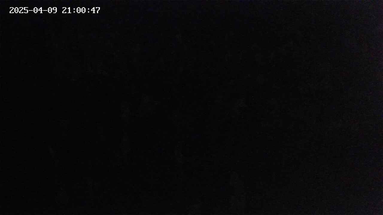 mizubasho4-20250409210048.jpg