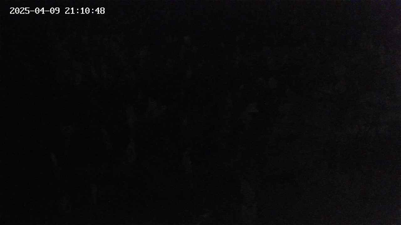 mizubasho4-20250409211049.jpg