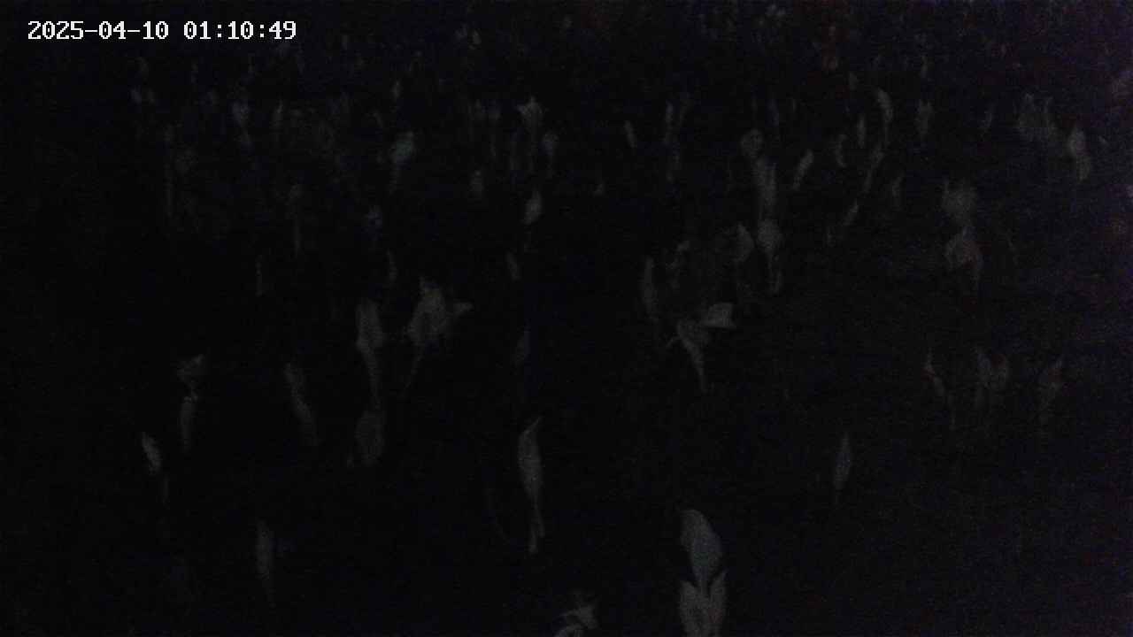 mizubasho4-20250410011050.jpg