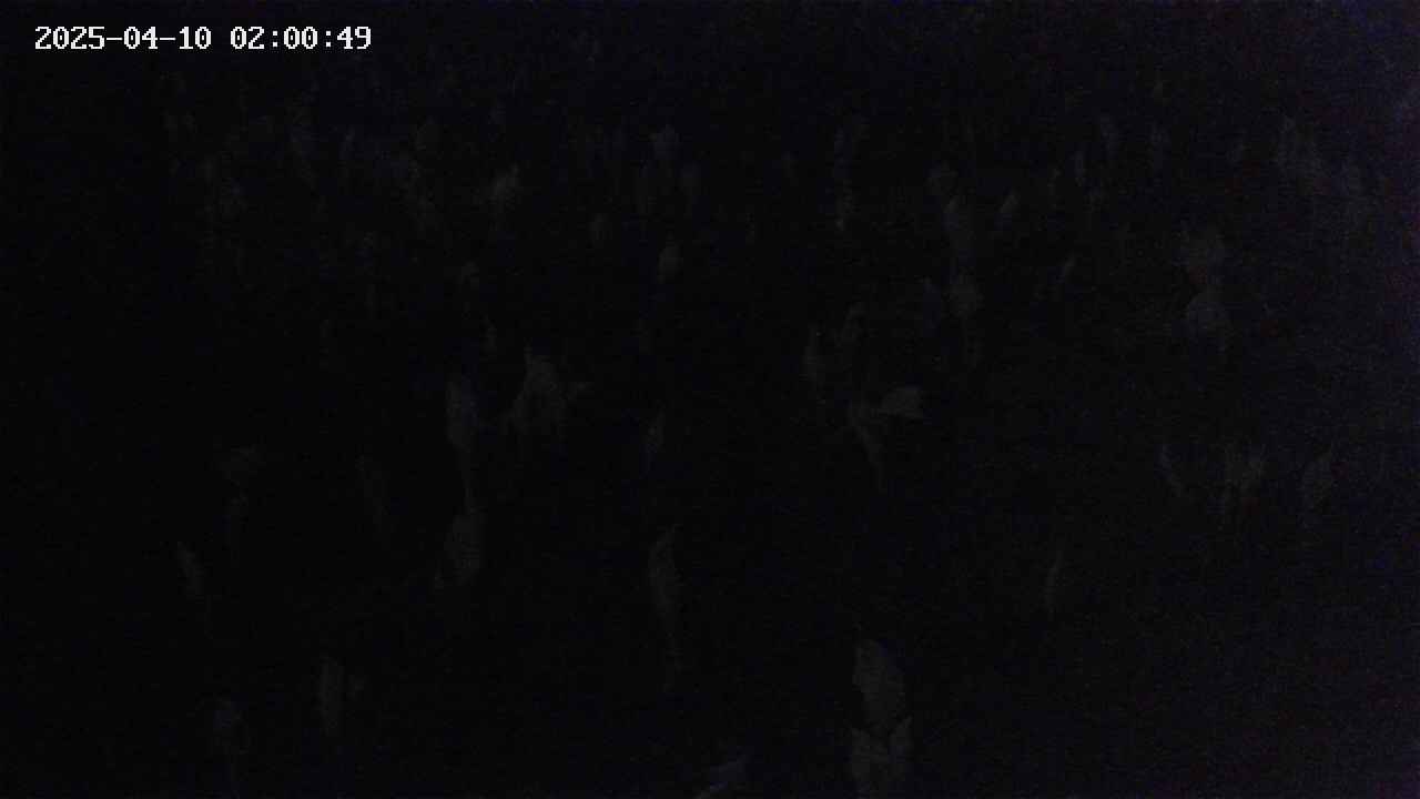 mizubasho4-20250410020050.jpg