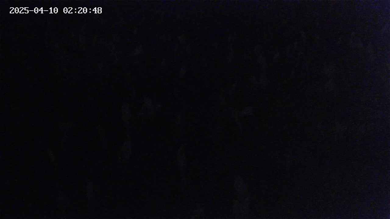 mizubasho4-20250410022049.jpg
