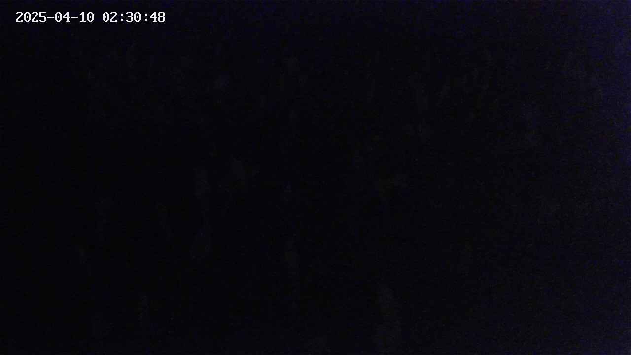 mizubasho4-20250410023049.jpg