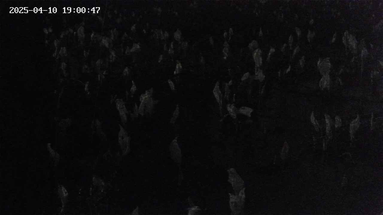 mizubasho4-20250410190048.jpg