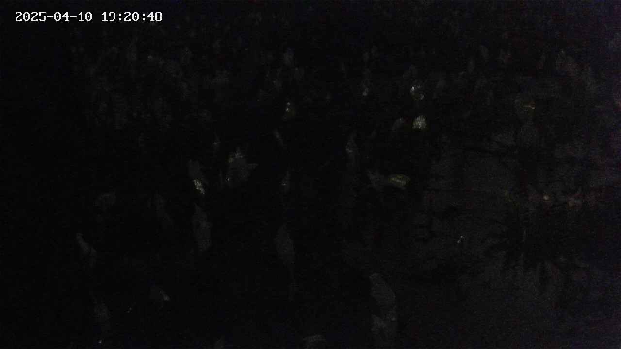 mizubasho4-20250410192049.jpg