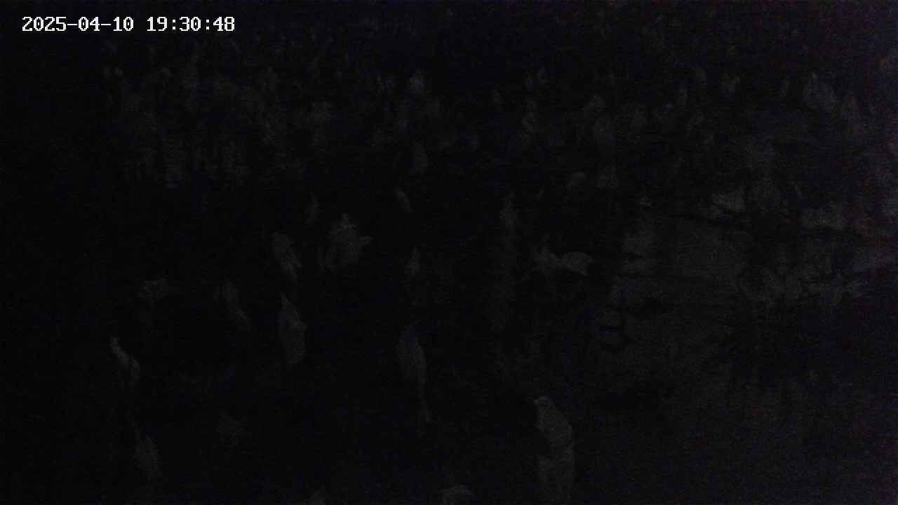 mizubasho4-20250410193049.jpg