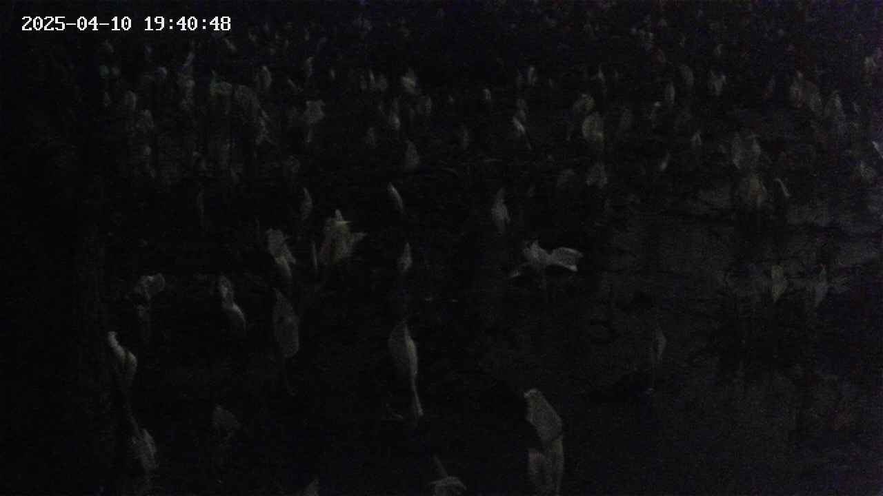 mizubasho4-20250410194050.jpg