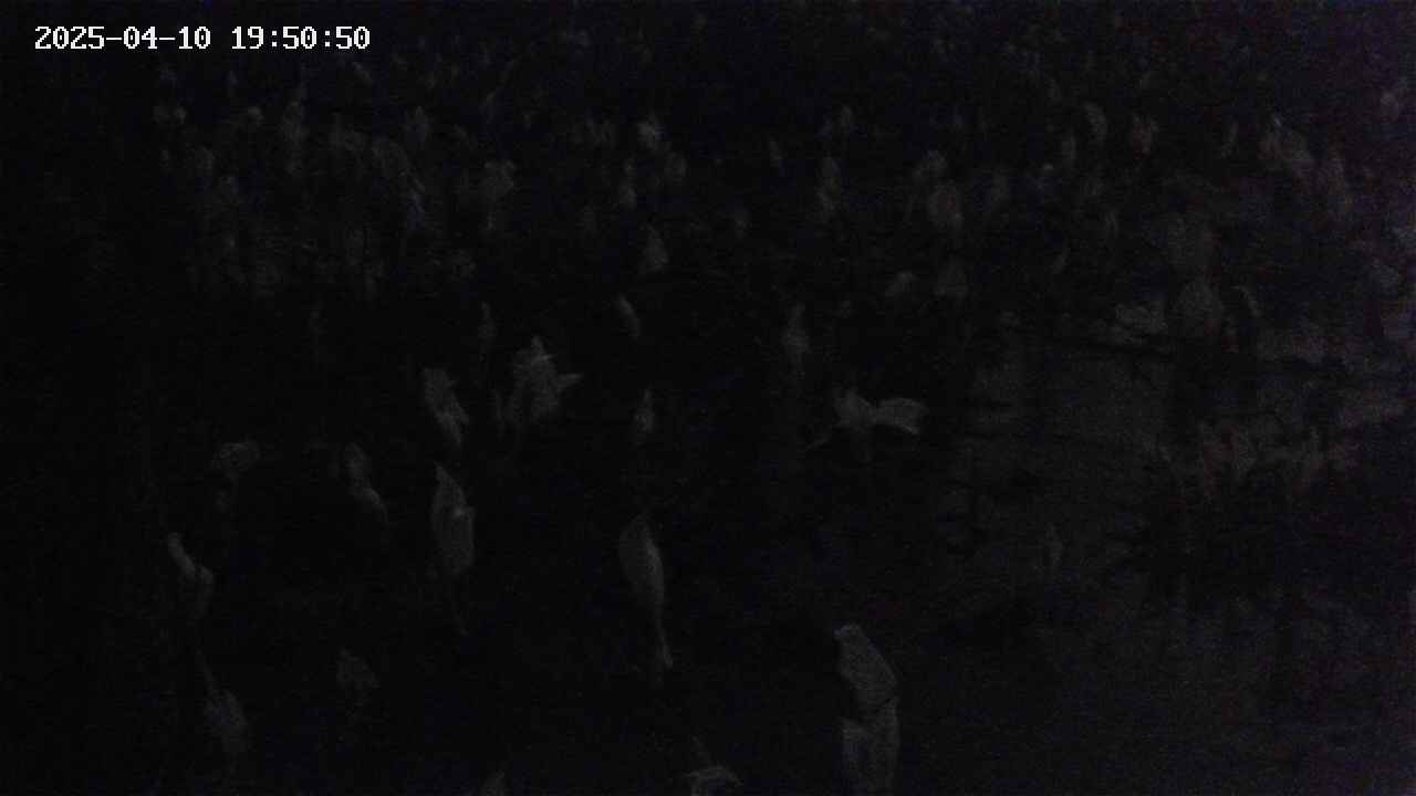 mizubasho4-20250410195051.jpg