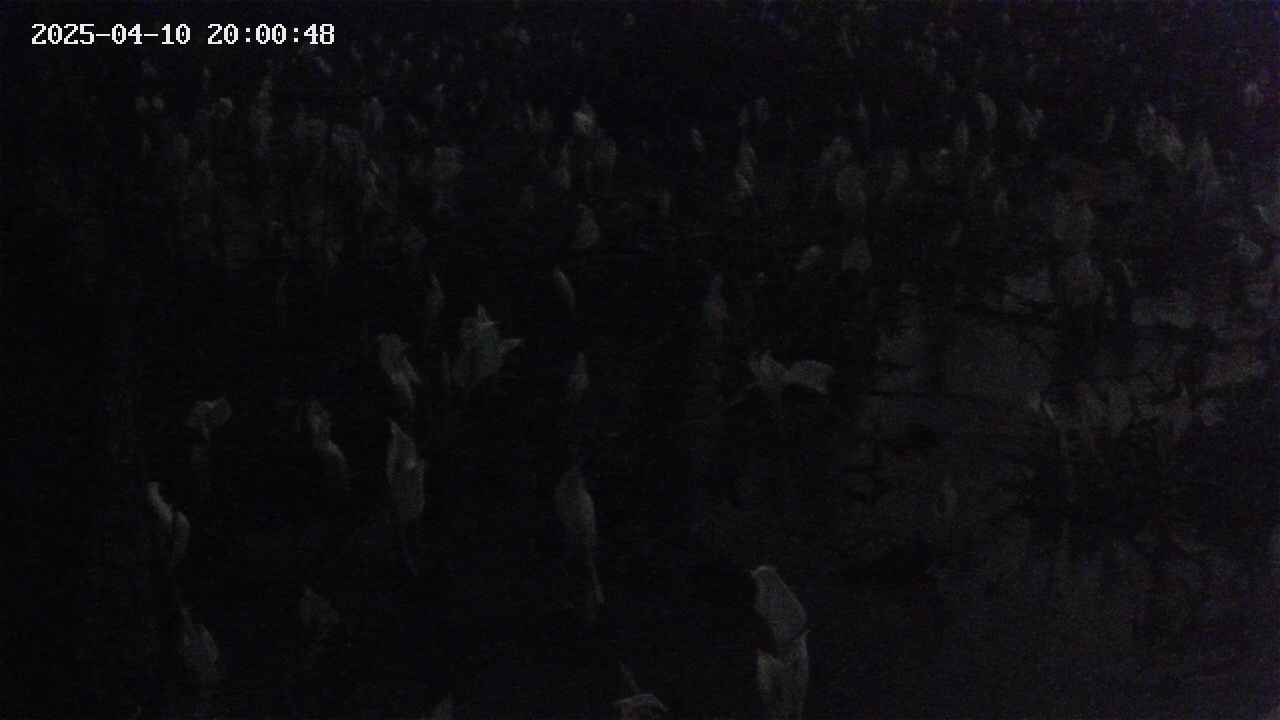 mizubasho4-20250410200049.jpg
