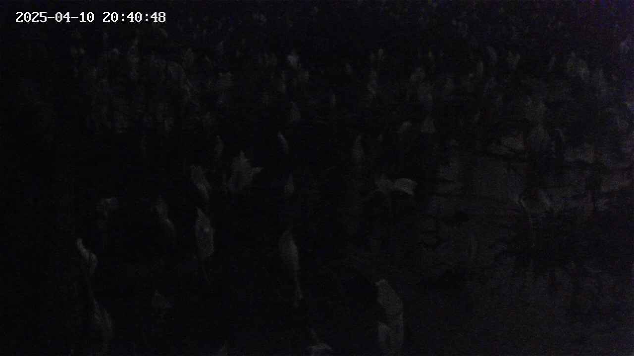 mizubasho4-20250410204049.jpg