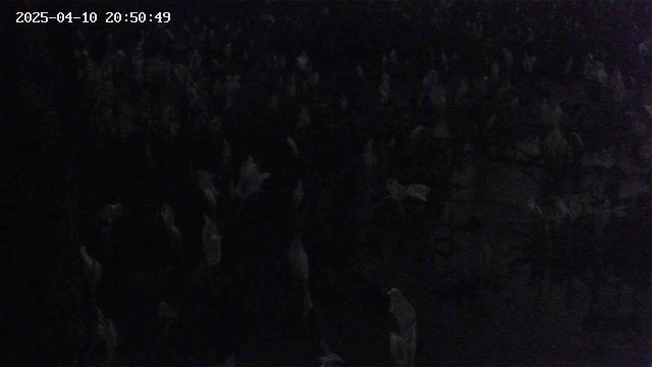 mizubasho4-20250410205050.jpg