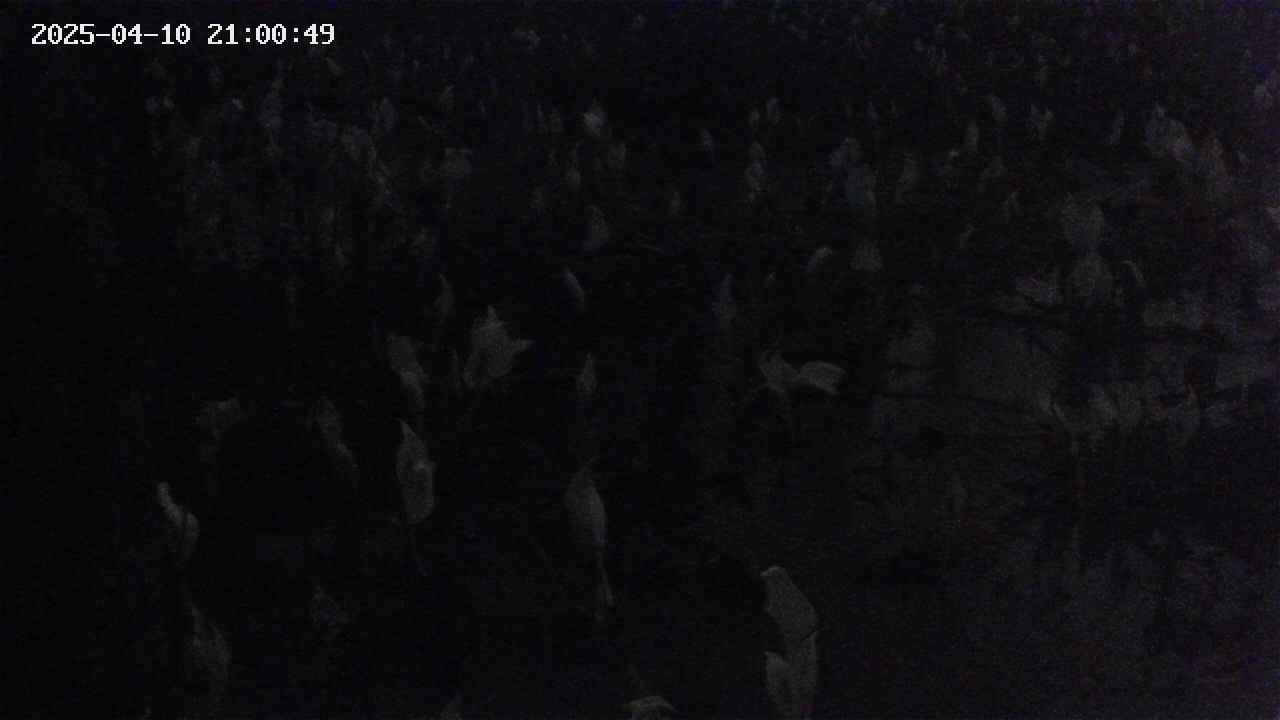 mizubasho4-20250410210051.jpg