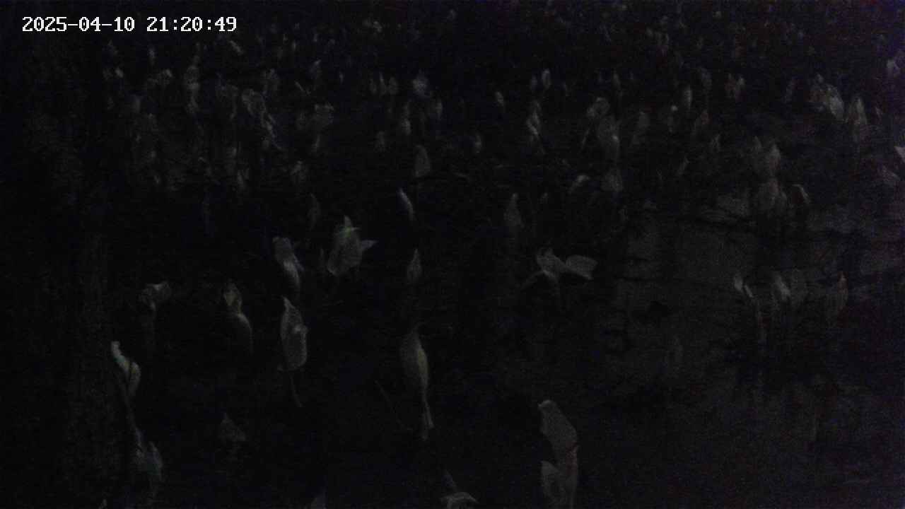 mizubasho4-20250410212050.jpg