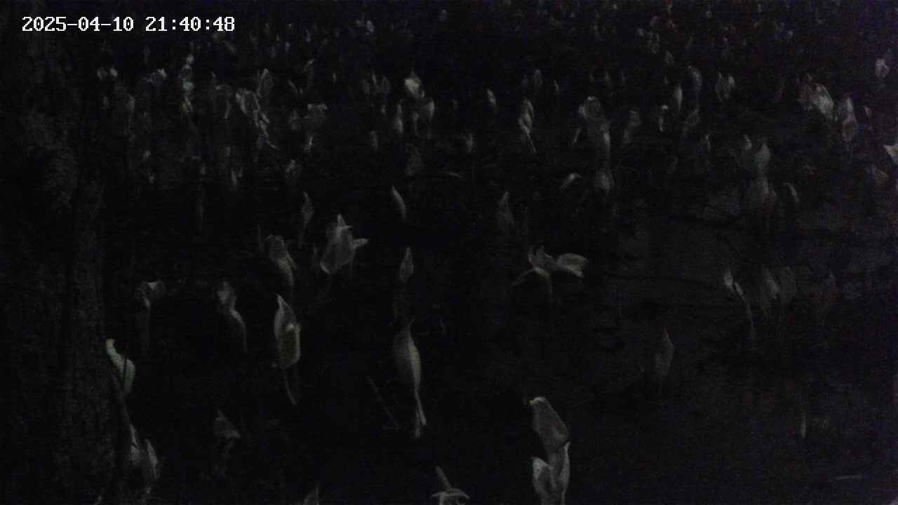 mizubasho4-20250410214049.jpg