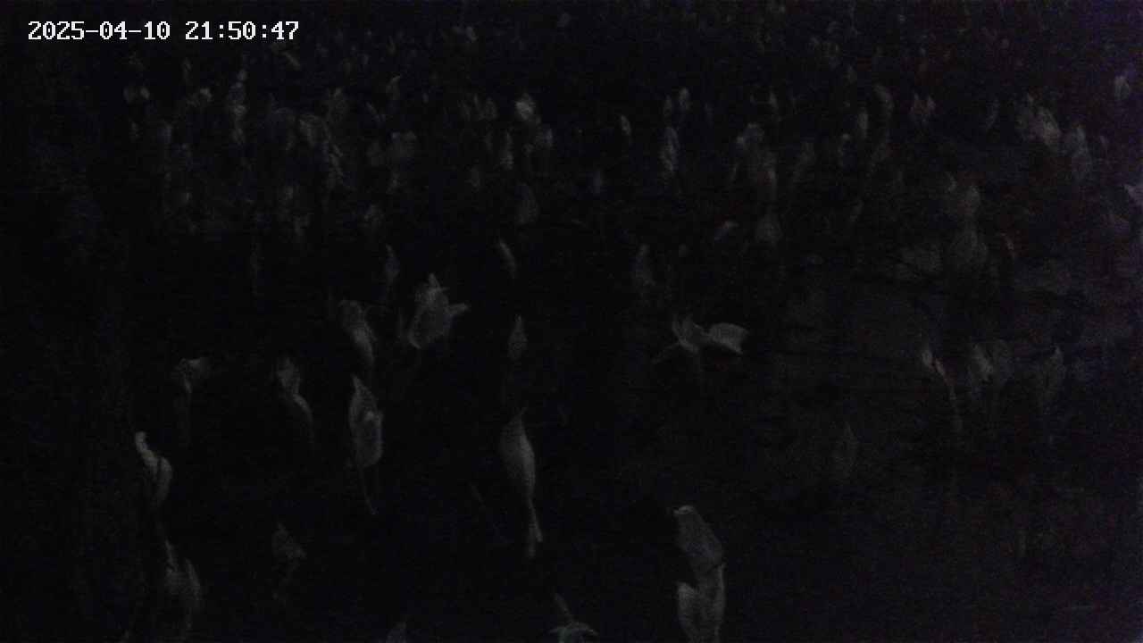 mizubasho4-20250410215048.jpg